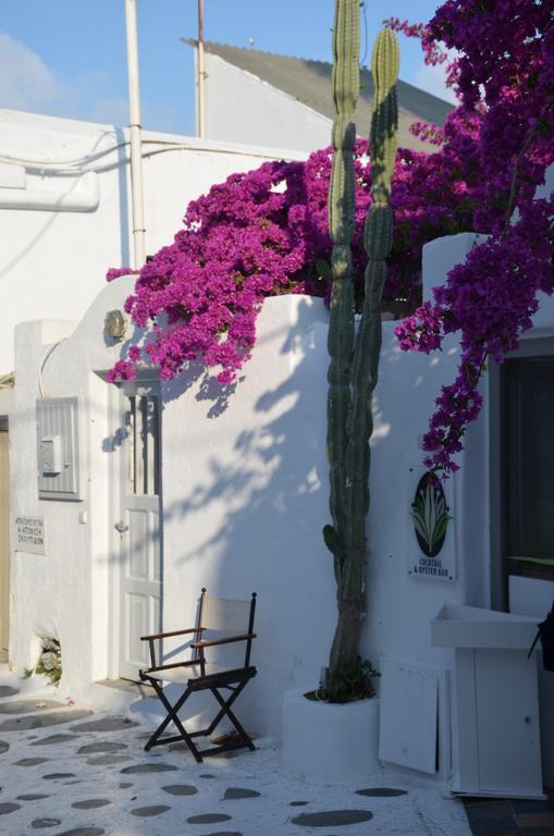 Mykonos TownWhite And Grey Choraアパートメント エクステリア 写真